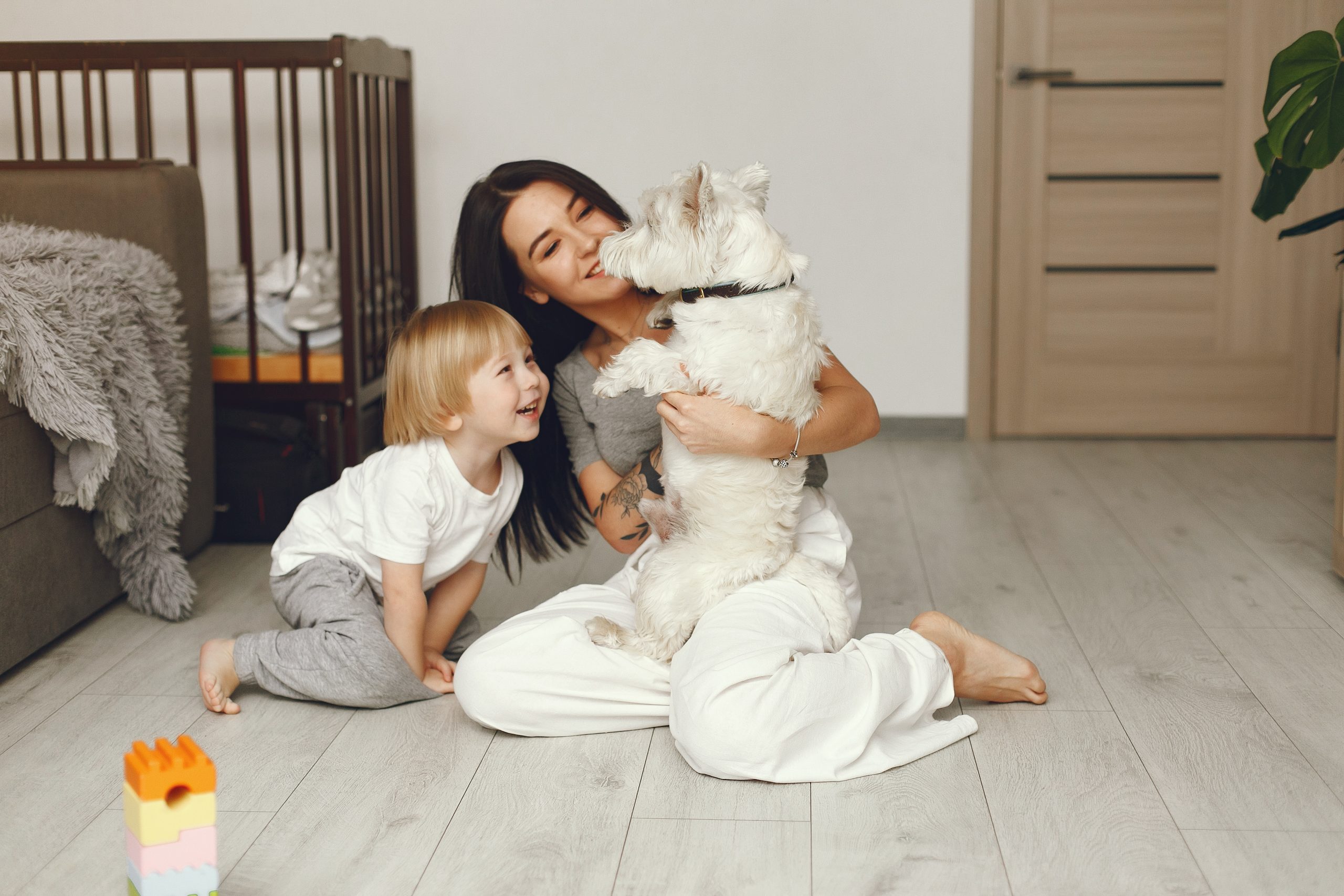 Mother and little son fun at home with dog